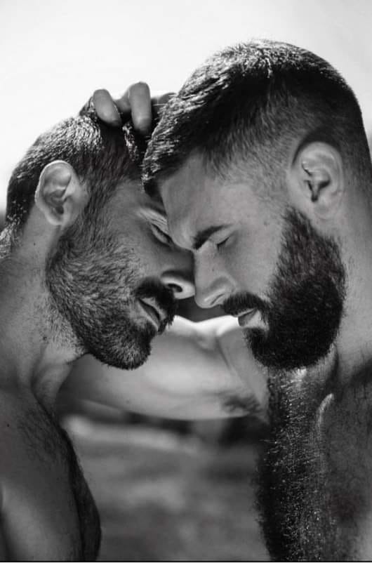 L’Amour ou la Guerre : Un Monde à&nbsp;l’Envers